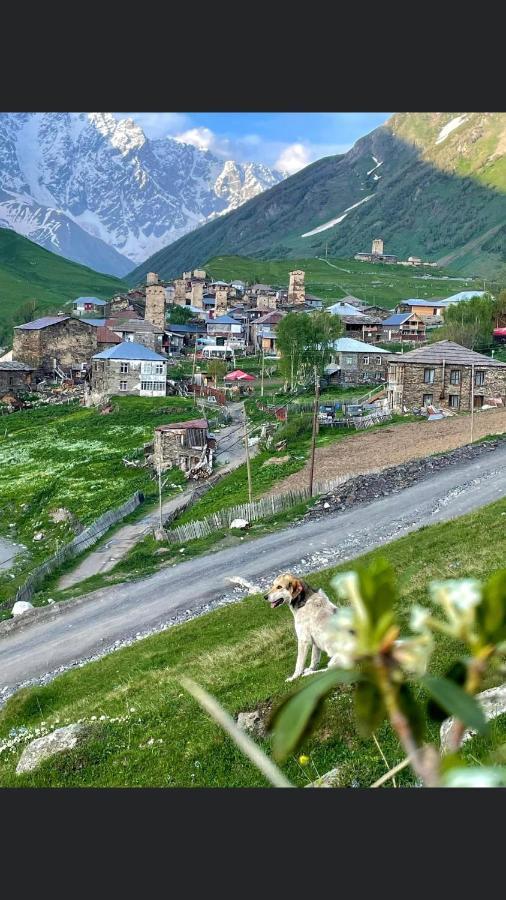 Chvibiani Guesthouse & Bar Ushguli Zewnętrze zdjęcie
