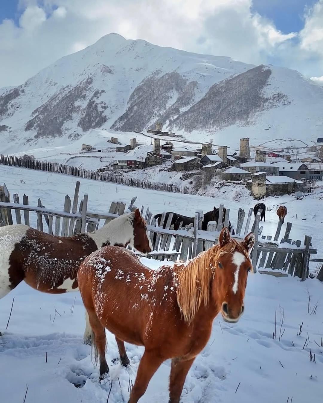 Chvibiani Guesthouse & Bar Ushguli Zewnętrze zdjęcie