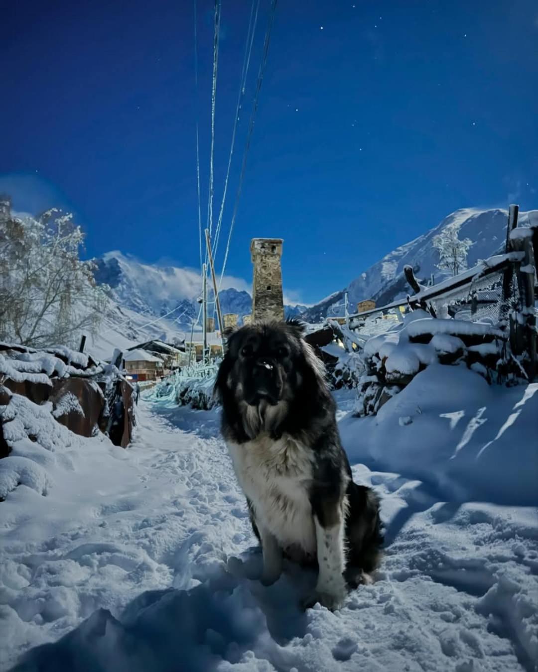 Chvibiani Guesthouse & Bar Ushguli Zewnętrze zdjęcie